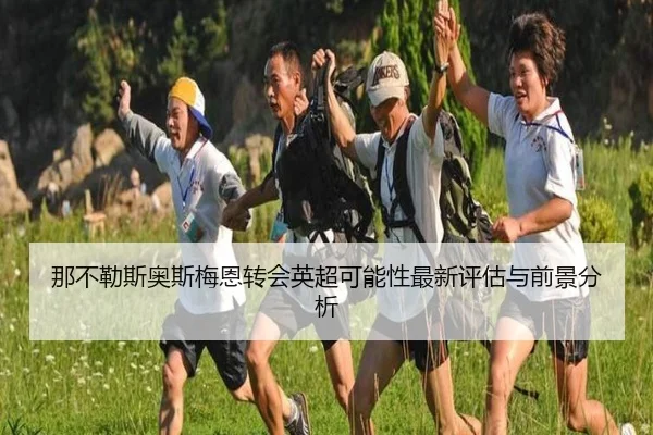 那不勒斯奥斯梅恩转会英超可能性最新评估与前景分析